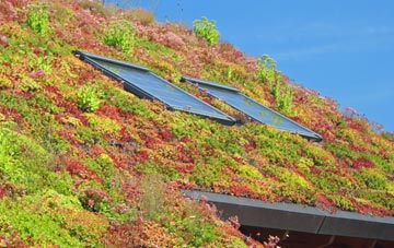 Little Tey living roof systems