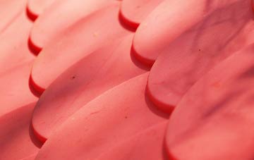 Little Tey plastic roof costs